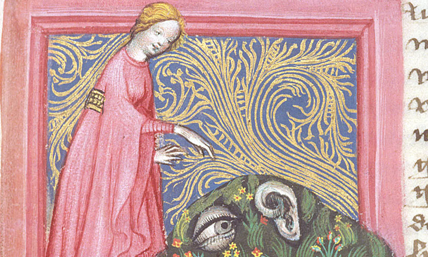 Human ear complaining to the goddess Nature