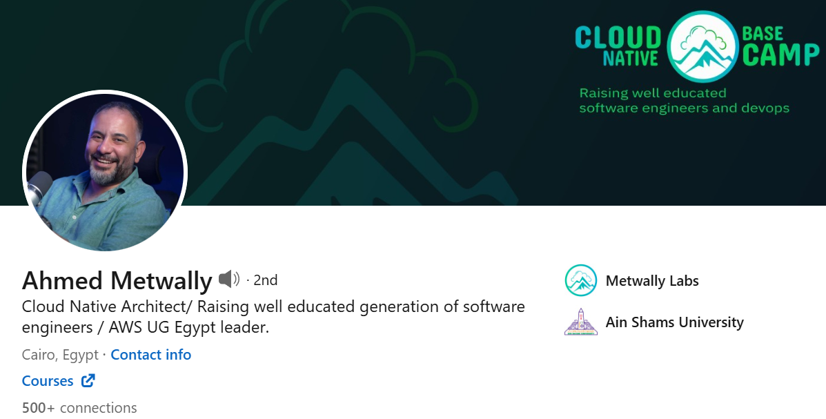 Screenshot of Ahmad Metwally's LinkedIn Profile