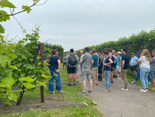 Wijnproeverij, wijndomein Langedijk, Op bezoek bij de wijnboer, Teamgevoel, Vergaderen in combinatie met teambuilding, Vergaderen aan de gracht in Alkmaar, Boutique Office, Vergaderen, Vergaderen aan de gracht, Vergaderen in huiselijke sfeer, Luxe vergaderen, Stijlvol vergaderen, Inspirerend vergaderen, Vergaderlocatie Alkmaar, Vergaderen aan de gracht, Vergaderen in Noord-Holland, Unieke vergaderlocatie in Alkmaar, Inspiratie locatie, Vergaderruimte huren, Inspirerende Vergaderruimte, Stijlvolle vergaderruimte, Unieke vergaderruimte, Luxe vergaderruimte, Vergaderruimte in Alkmaar, Vergaderruimte in Noord Holland, Vergaderruimte in Dijk en Waard, Vergaderruimte in huiselijk sfeer
