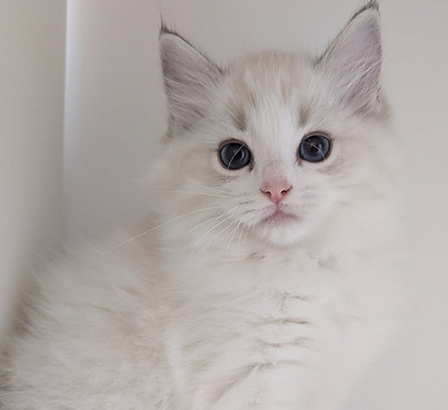 530759608_755855647194719_84095221299849