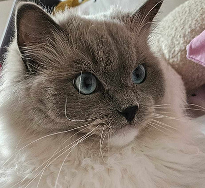 9ef69765-48eb-45fe-a2e5-09715406f3c5.jfif