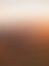 Life Insurance Products