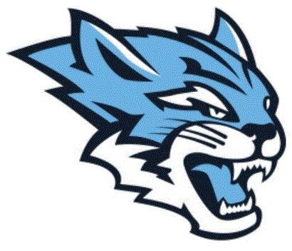 wildcat logo.gif