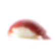 Maguro Nigiri