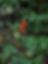 Image-empty-state.png