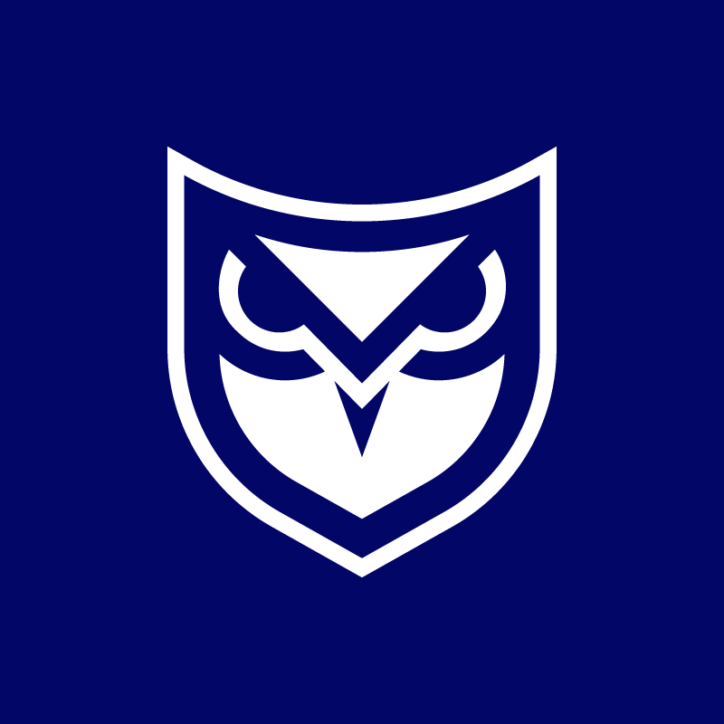 DomainGuard-SocialMedia-Profile-Blue.png