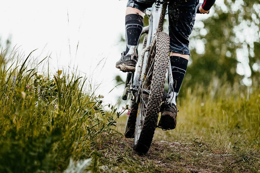 rent a bike04.jpg