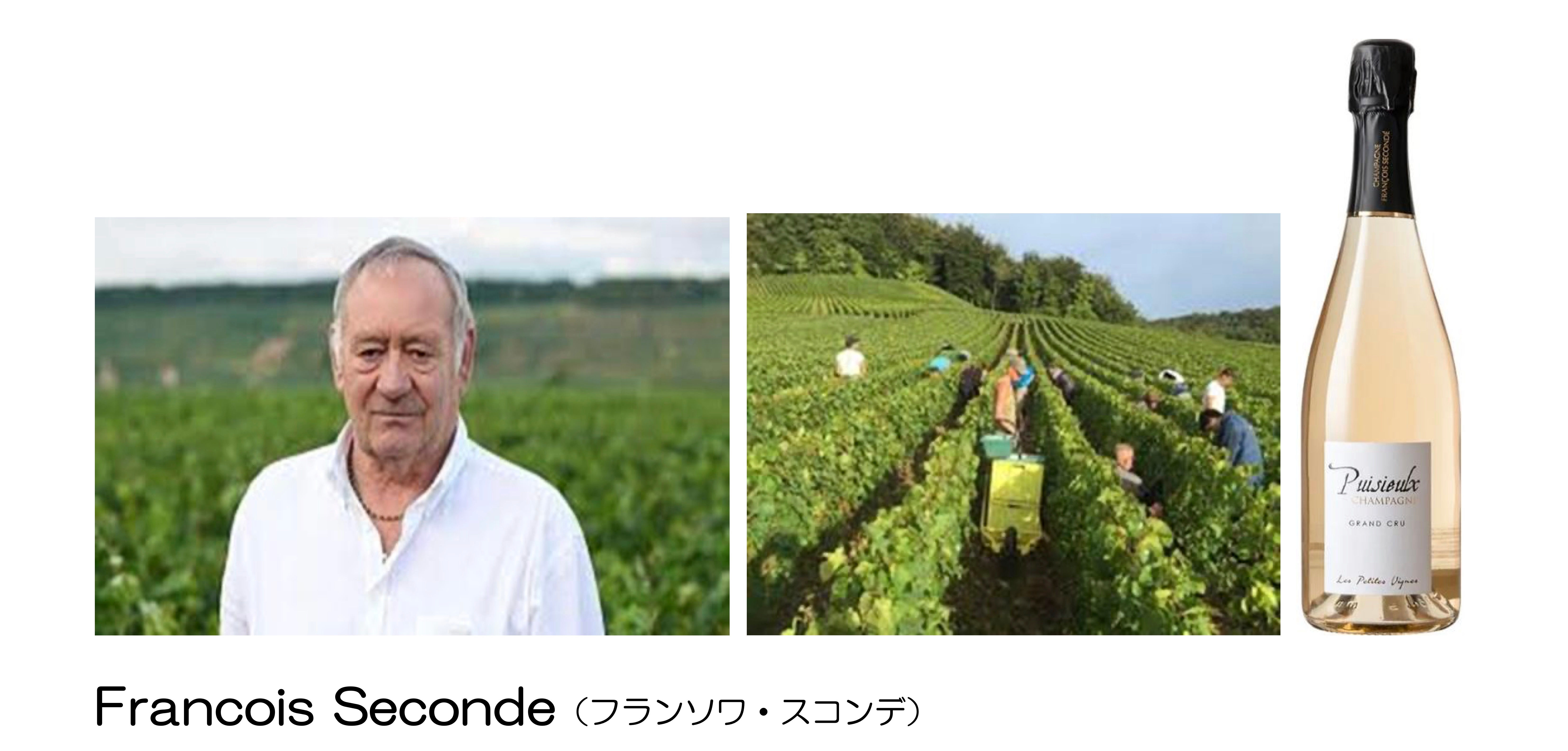 Puisieulx Les Petites Vignes(ピュイジュー・レ・プティット・ヴィーニュ)