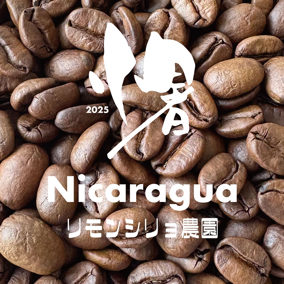 季節のコーヒー「小暑」7/7〜7/21 Nicaragua リモンシリョ農園