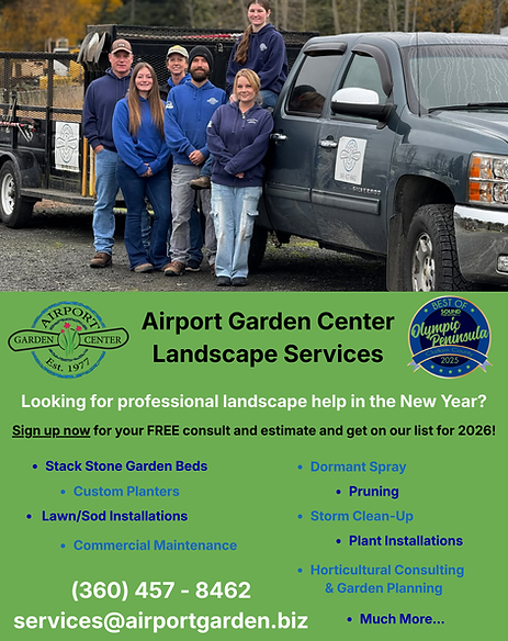 SERVICES AD FALL 2025.png