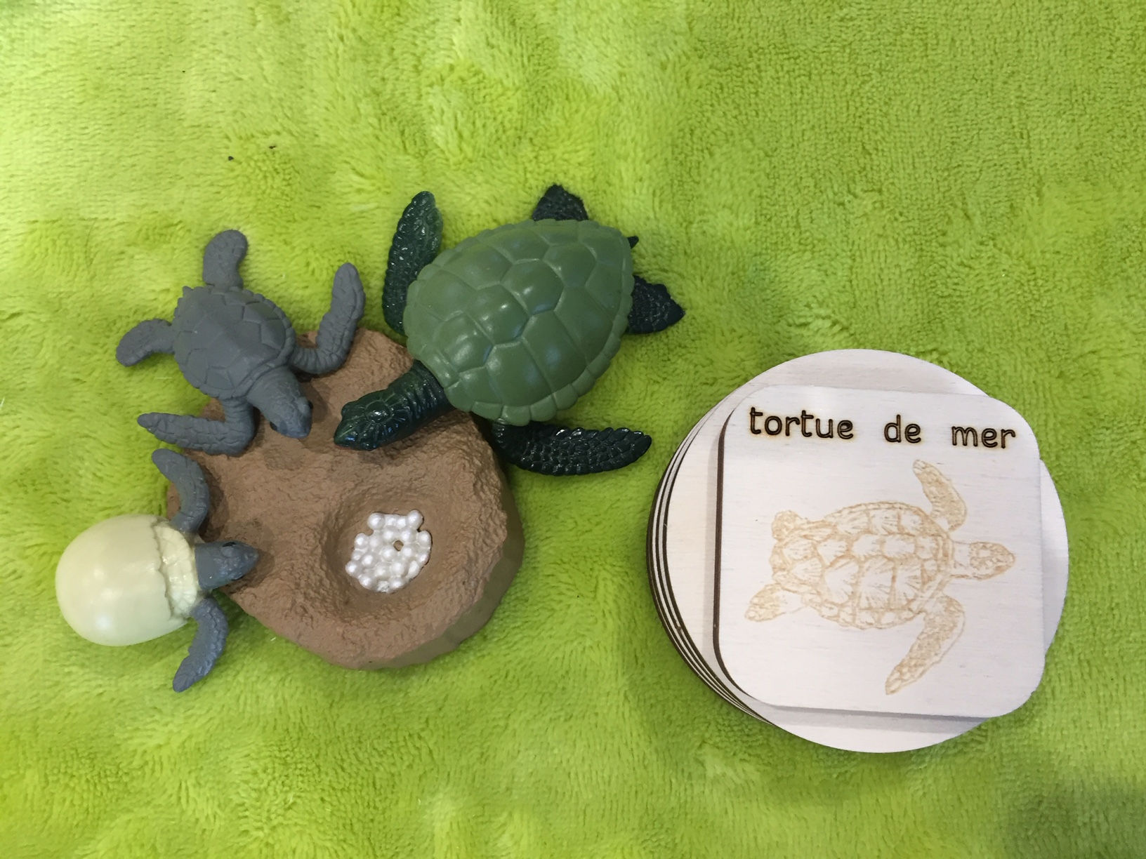 Disques bois et figurines - La tortue de mer