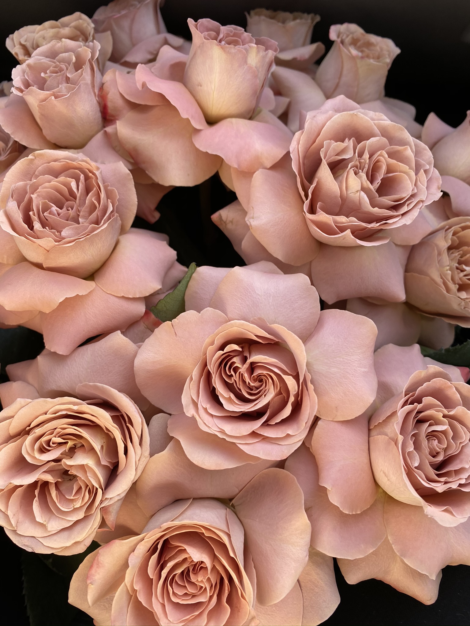 Flower Delivery Newcastle Weddings Pushing Pansies