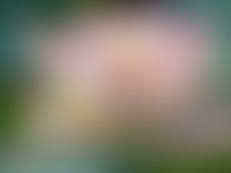 Holistic Healing Approach for Mind-Body-Soul Connection