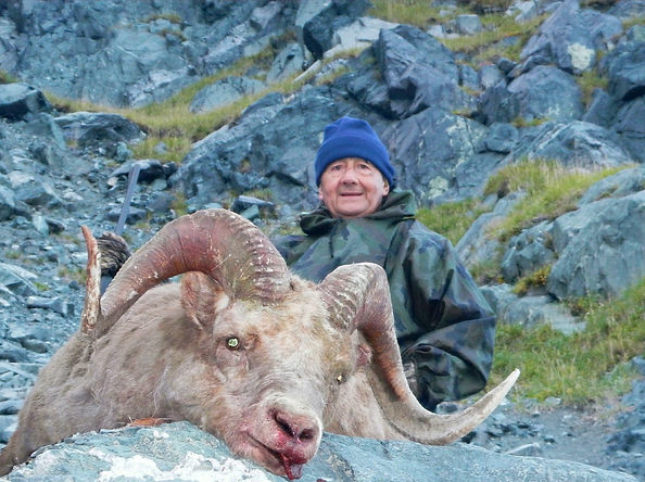 Kolyma SNOW SHEEP .jpg