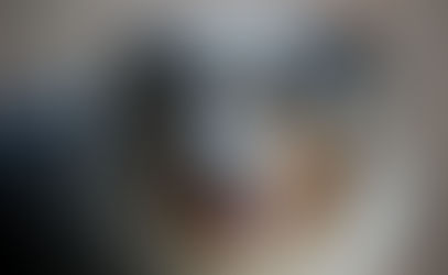 Mi perro adoptado se quiere fugar; ¿Qué hago?
