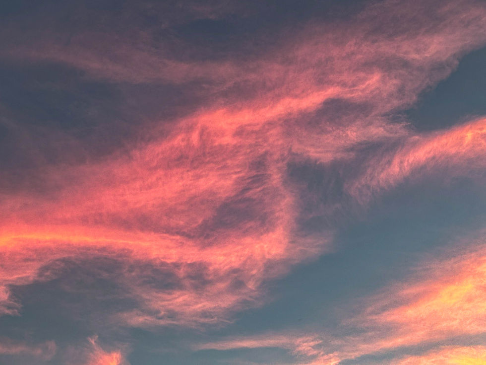 Aiden choice 17Photo edit 2