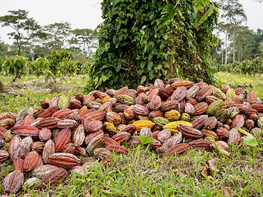 PHOTO-2023-02-23-16-36-33 (2).jpg