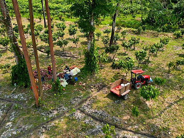 PHOTO-2023-02-23-16-36-33 (1).jpg