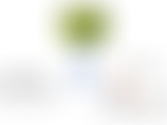 Antioxidant and antimicrobial activities of Momordica charantia L. leaves.