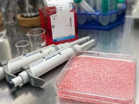 “Etli” Pirinç: Hibrit Gıdalar Geleceği Değiştirebilir Mi?