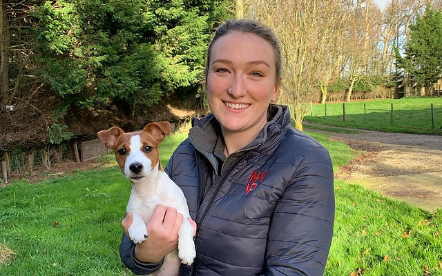 Veterinary Physiotherapist | Dog & Equine Physio Lancashire | Veterinary Physiotherapist | Dog & Equine Physio Lancashire |