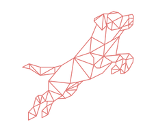 Outlines_edited_edited.png
