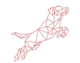 Outlines_edited_edited.png