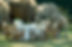 Kenya Tours Ltd, Kenya
