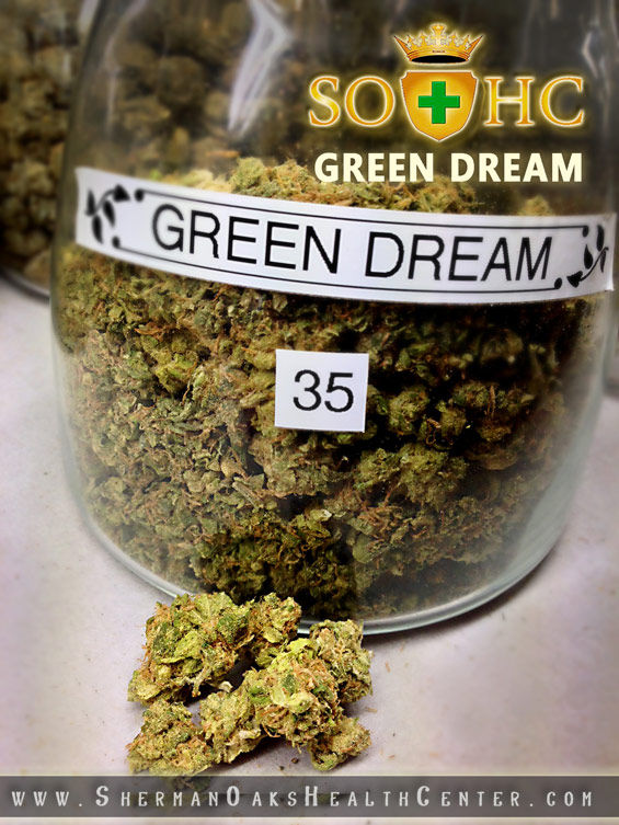 SOHC Green Dream B.jpg