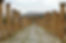 Roman-Road2-1024x658.jpg