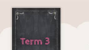 TERM 3: Certificate Course Description