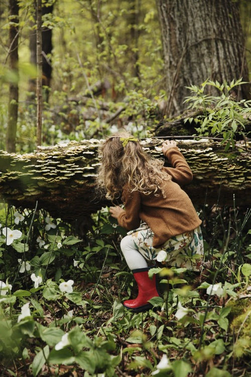 Lost in the Woods
