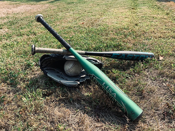 An image of two baseball bats laying on top of a baseball glove.
