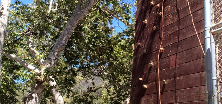 An image of a rock climbing wall.