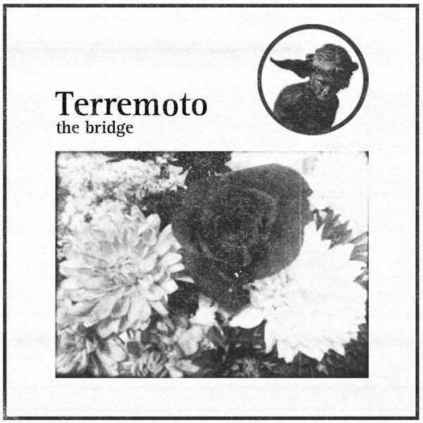 Terremoto - The Bridge