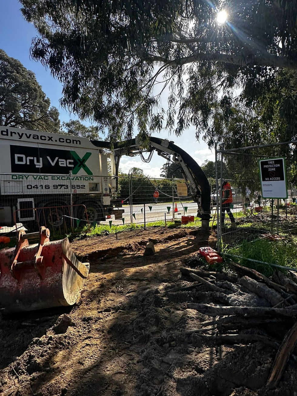 Tree Roots Dry Vacuum Excavation .jpeg