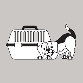 Copy of Copy of Untitled (17).png