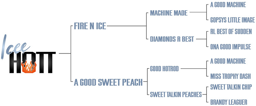 Icee hott breeding.jpg