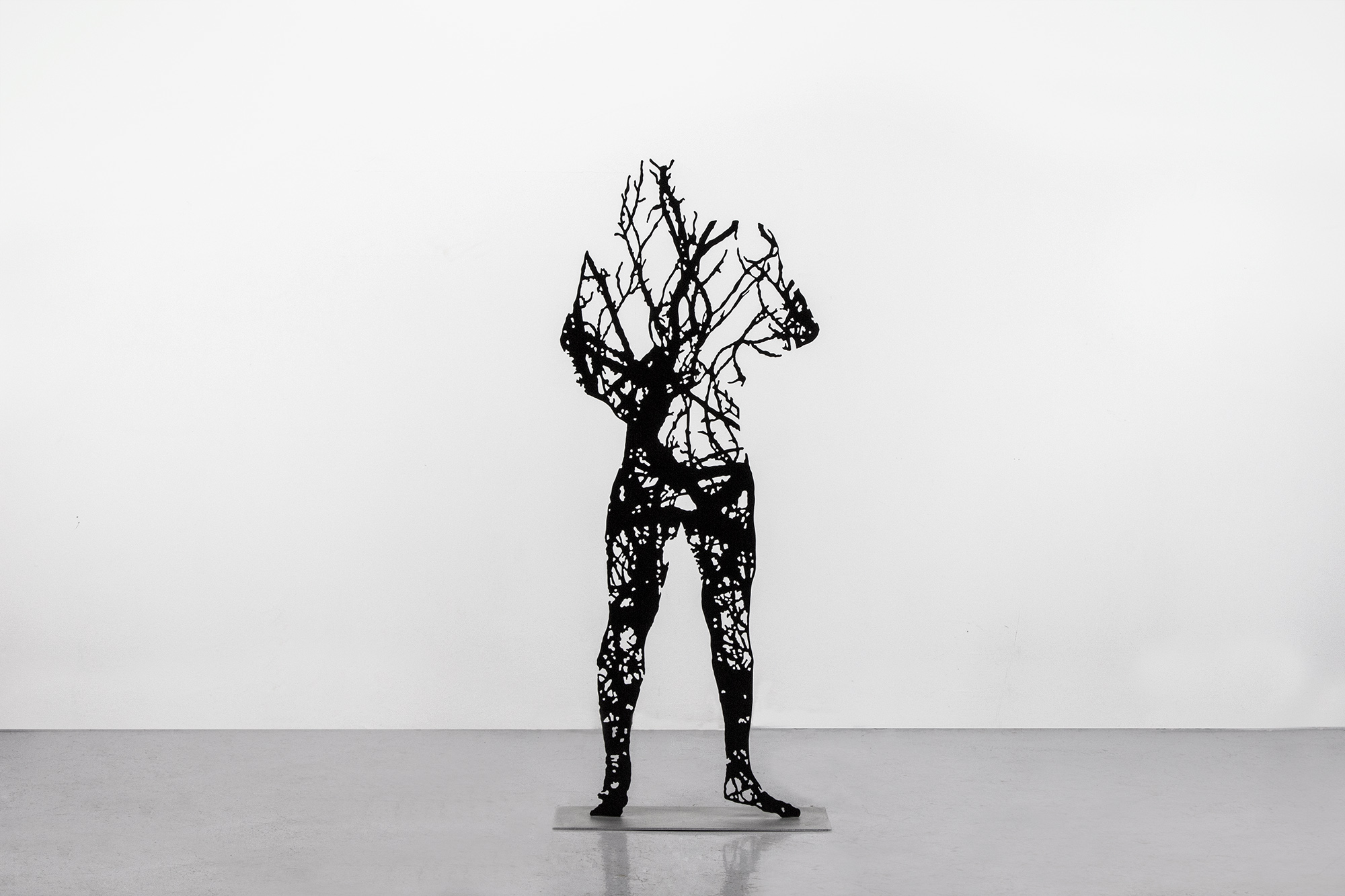The Search, 2013