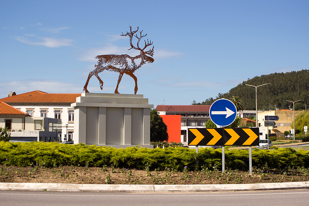 Cervo, 2004