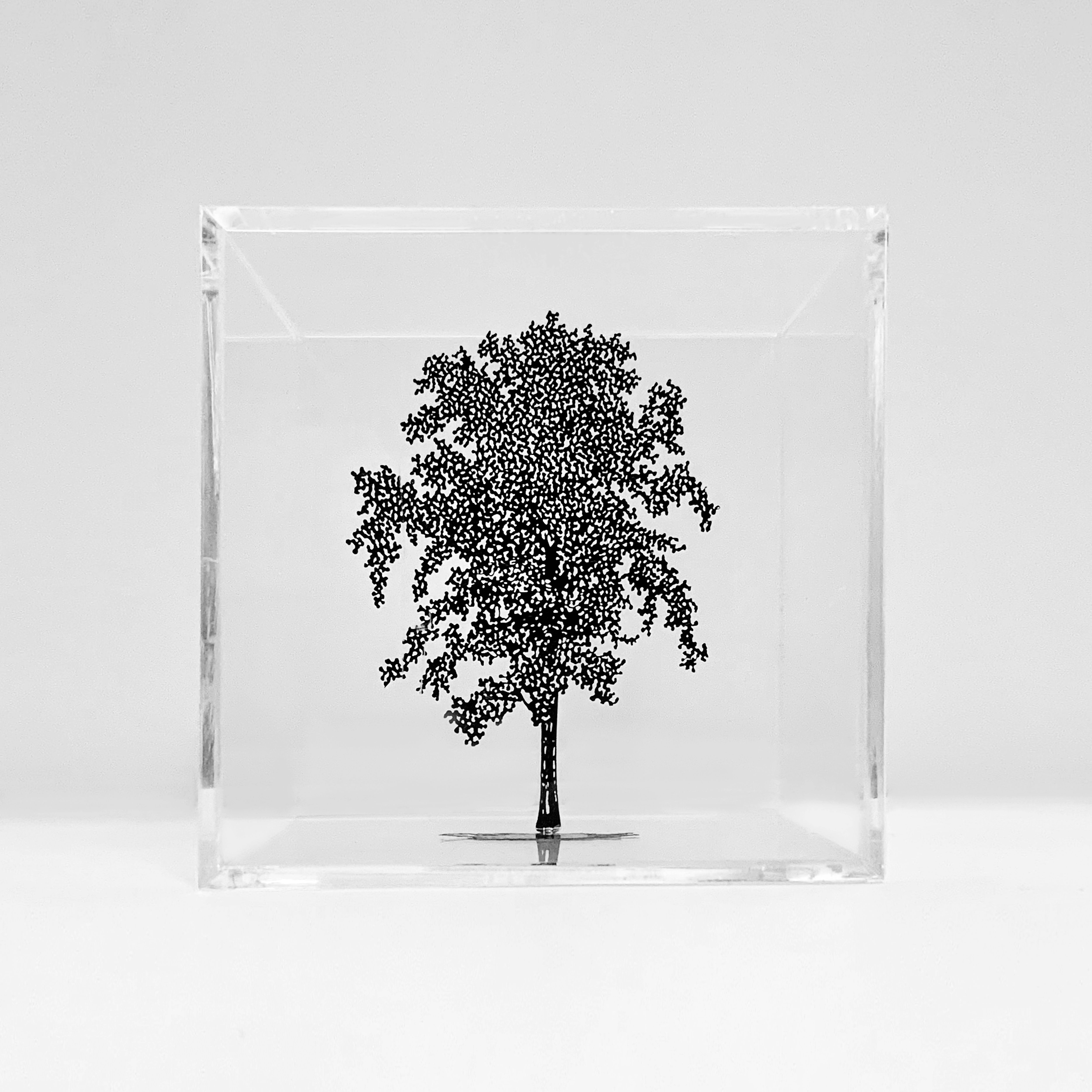 One Thousand Black Leaves