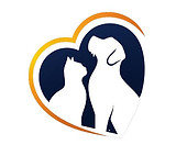 WhatsApp Image 2025-12-26 at 10.26.15.jpeg