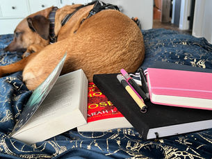 Art block: 100 day project