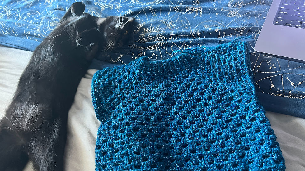 Cat sleeping next to a blue crochet sweater on a blue bed spread.