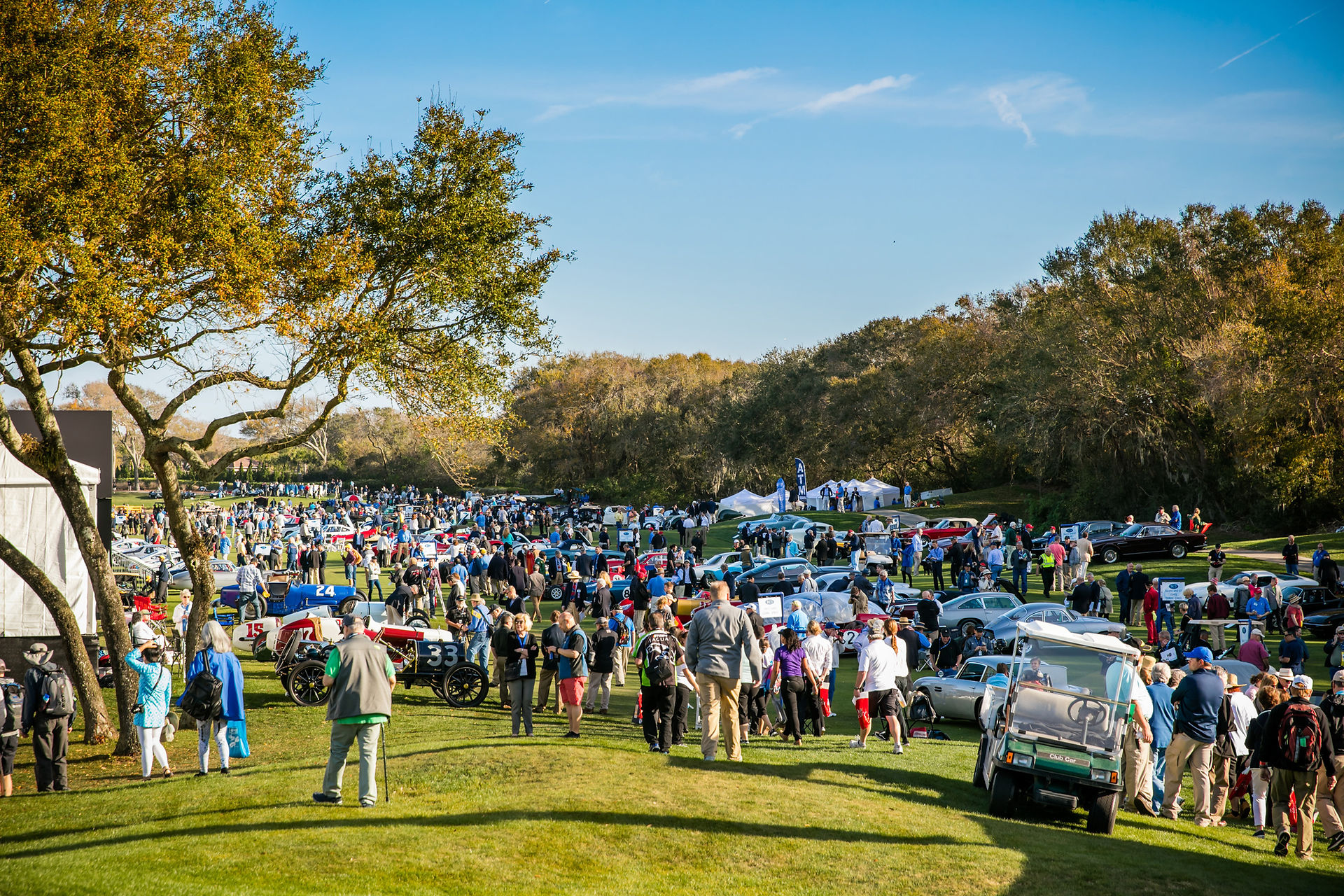 2017 Amelia Concours - 03 Sat Field 008AA - Deremer Studios LLC