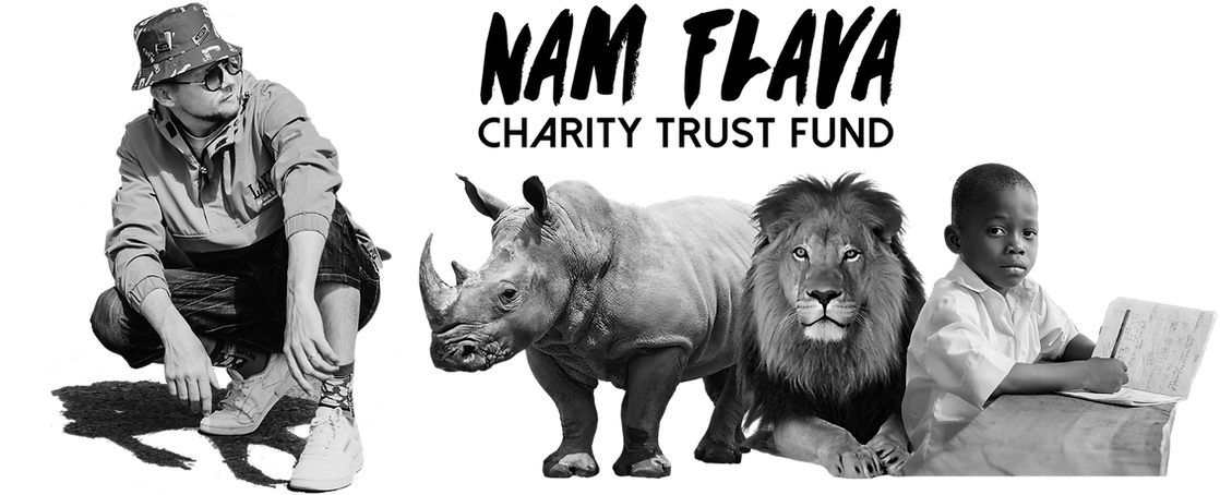 NAM FLAVA Charity Trust Fund - Banner (website) (1).png