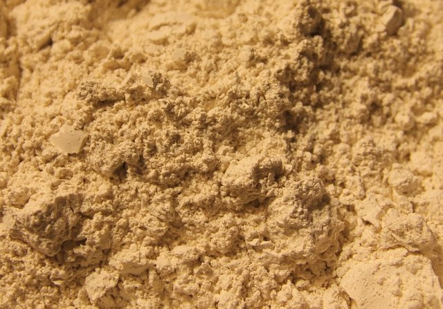 Diatomaceous Earth