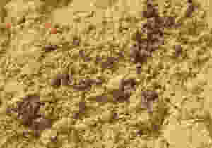 Diatomaceous Earth
