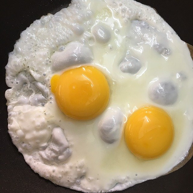 eggs