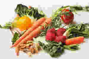 Fruits & Veggies Garden of Eden